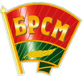 Призер конкурса БРСМ 2017 «РОДИТЕЛЯМ о синтетических наркотиках»