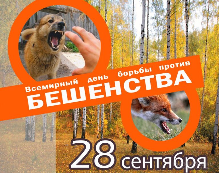 28 cентября – Всемирный день борьбы против бешенства